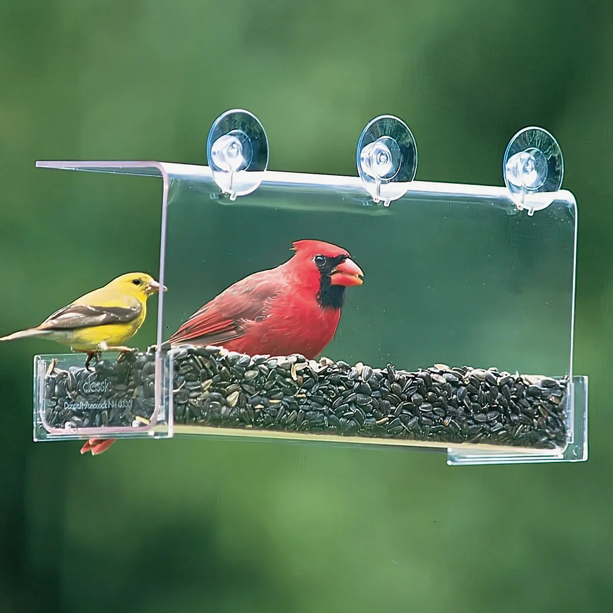 Duncraft Cardinal Classic Window Feeder