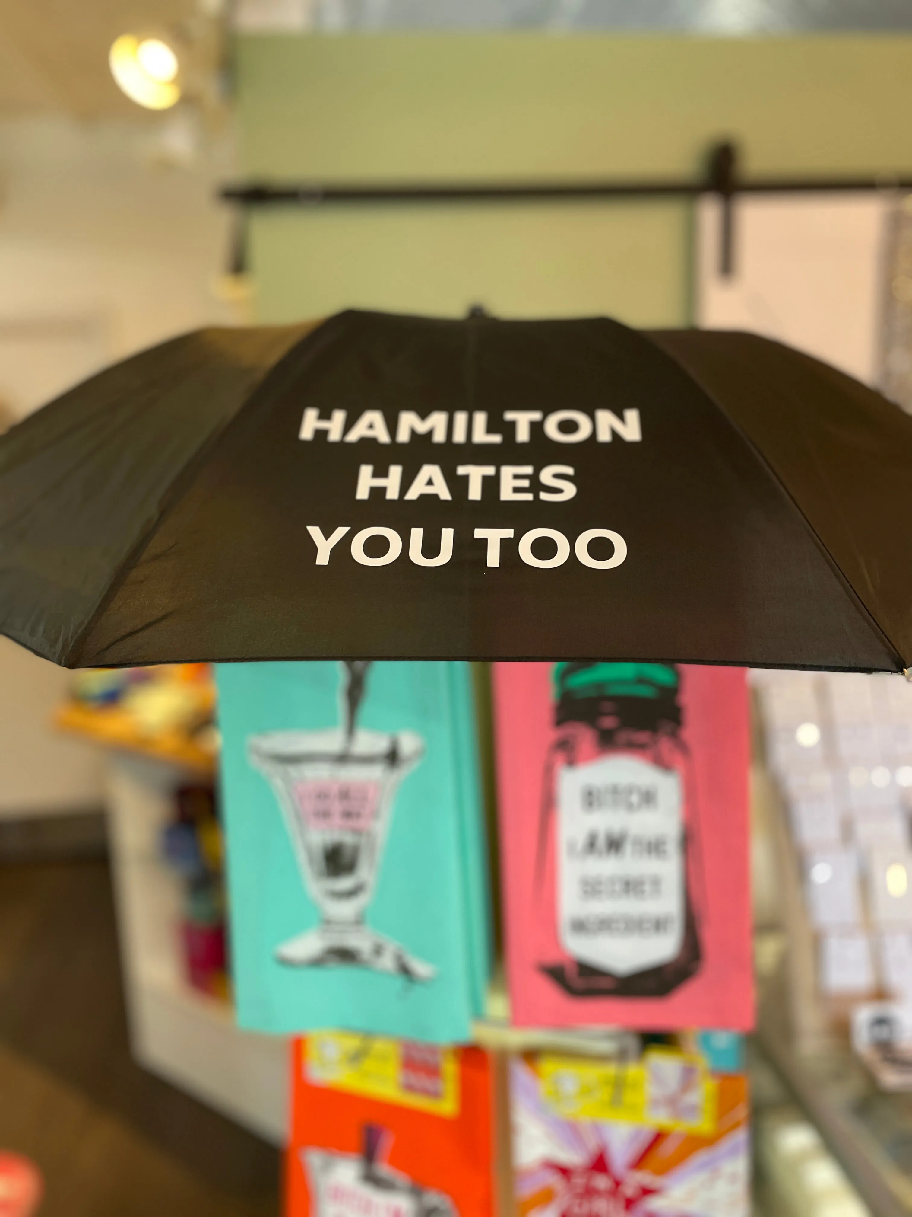 Hamilton Hates You Too - Automatic Travel Umbrella