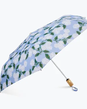 Hydrangea Umbrella