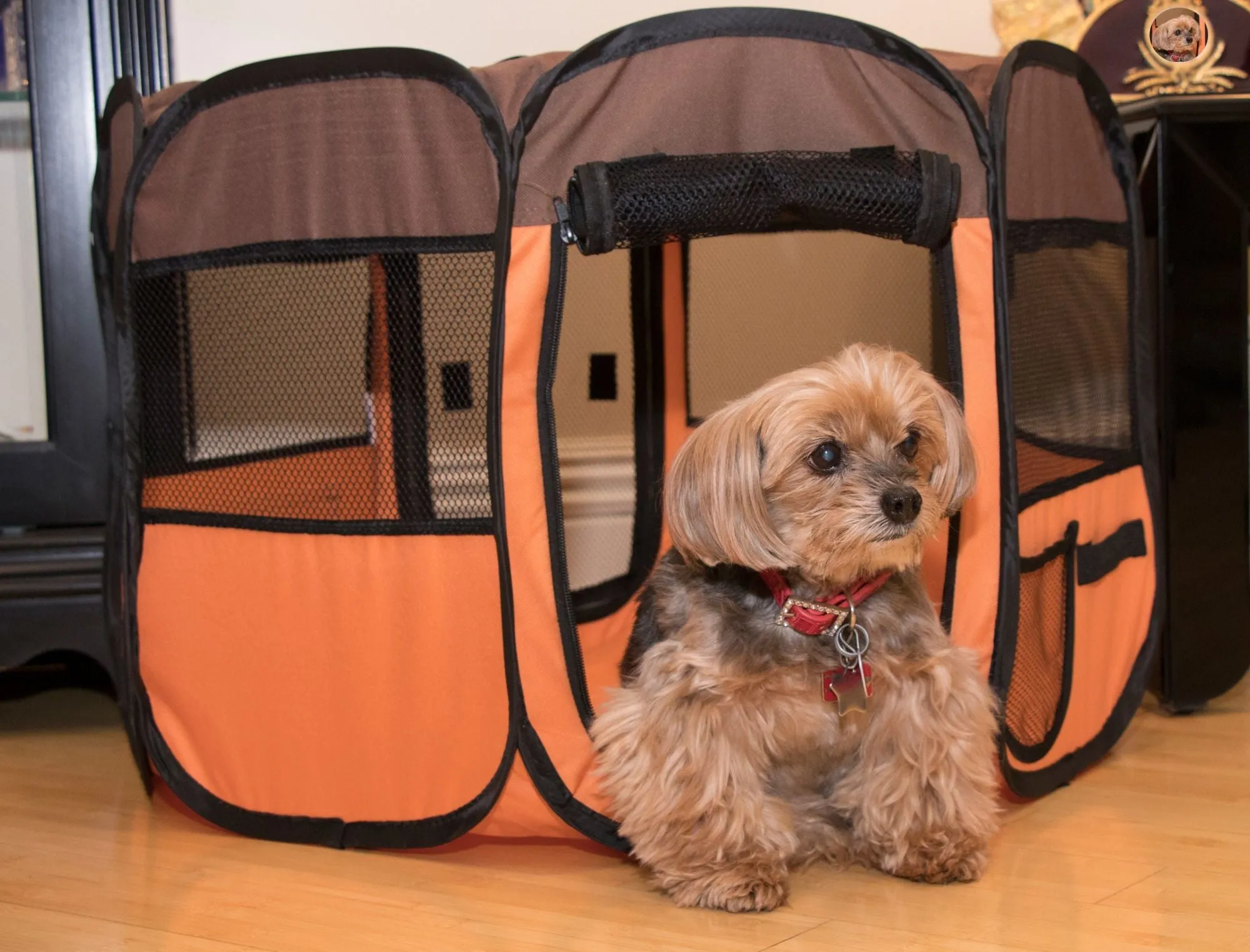 Lightweight Collapsible Dog Playpen - Orange