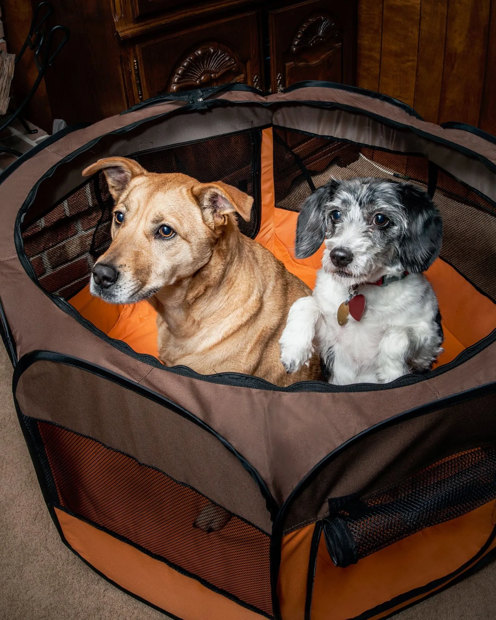 Lightweight Collapsible Dog Playpen - Orange