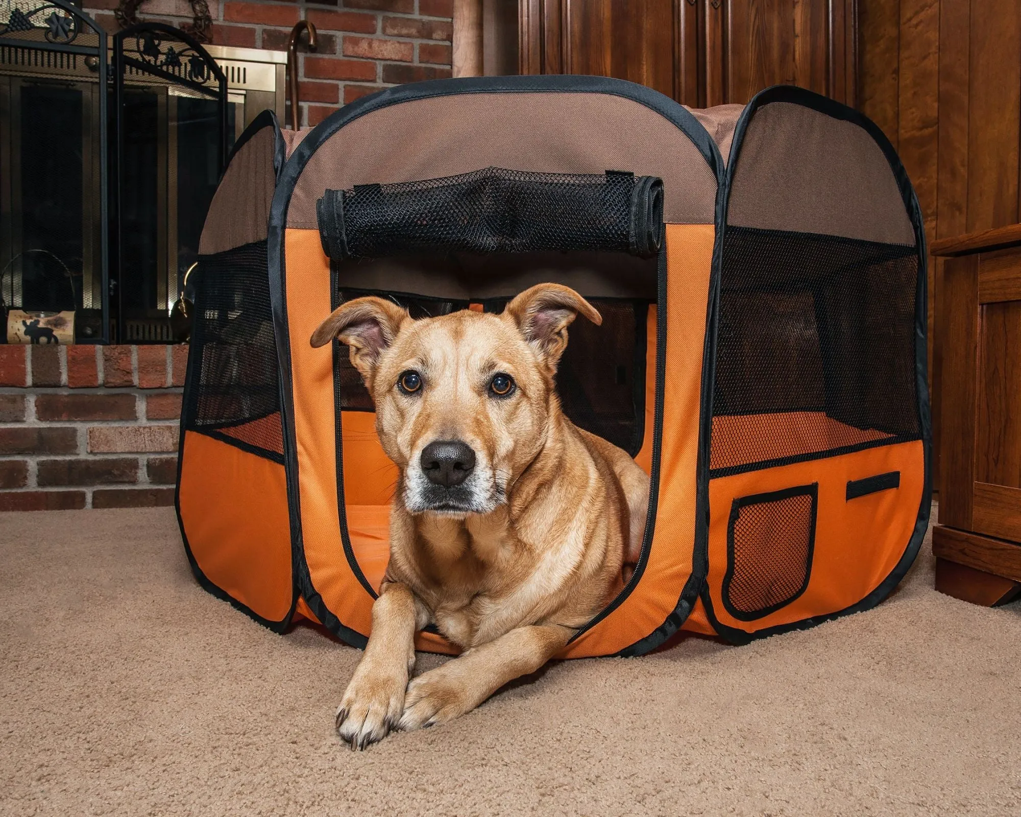 Lightweight Collapsible Dog Playpen - Orange