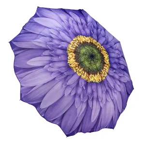 Wisteria Daisy Folding Umbrlla