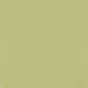 X-Drop Pro Wrinkle-Resistant Backdrop - Light Moss Green (8' x 8')