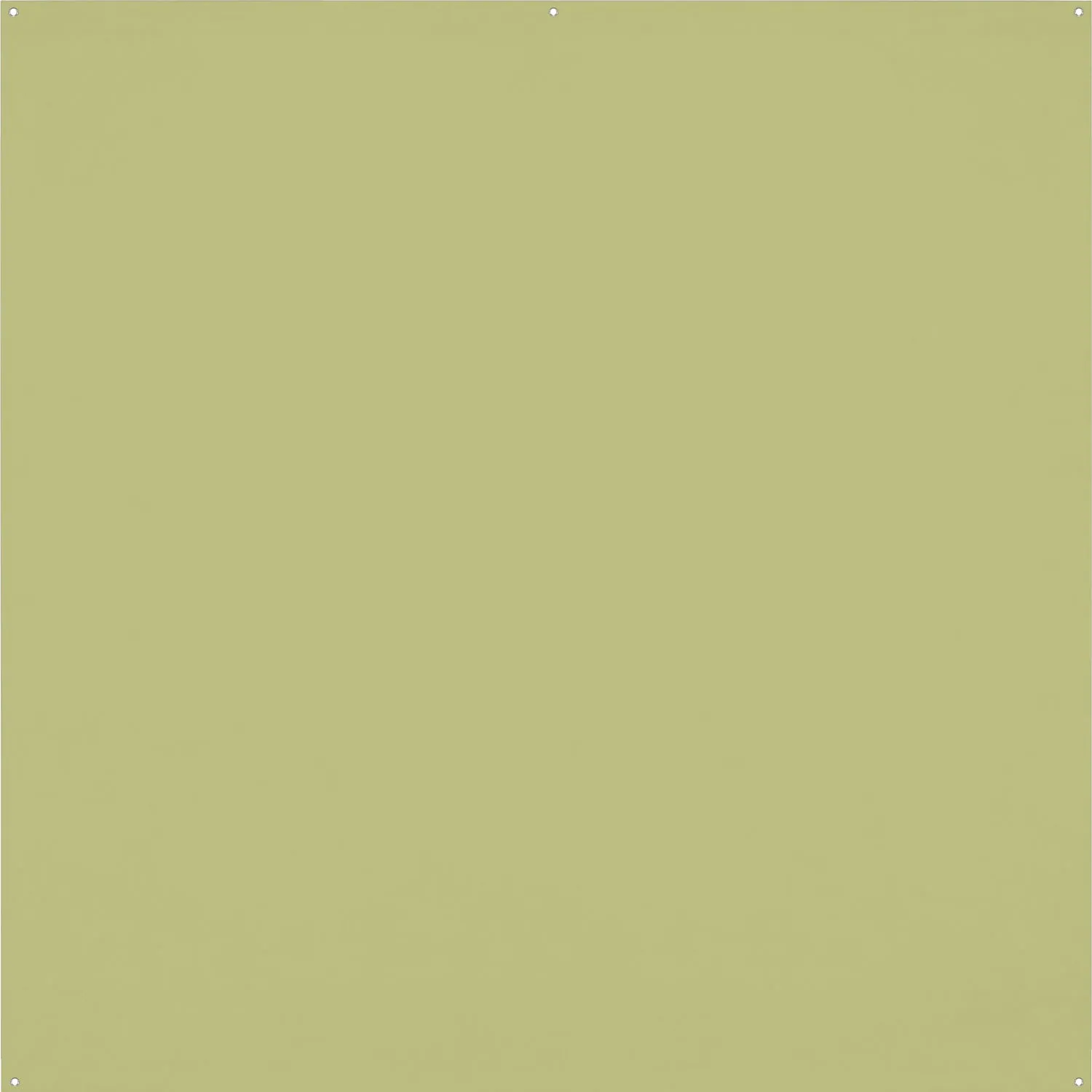 X-Drop Pro Wrinkle-Resistant Backdrop - Light Moss Green (8' x 8')